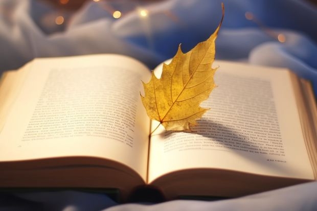 广西师范学院师园学院开设有专科的专业吗
