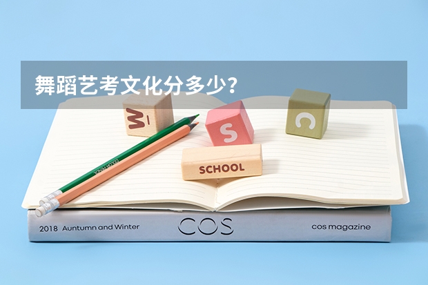 舞蹈艺考文化分多少？