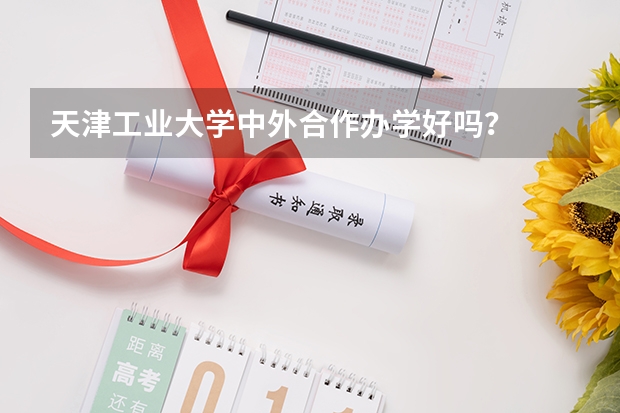 天津工业大学中外合作办学好吗？
