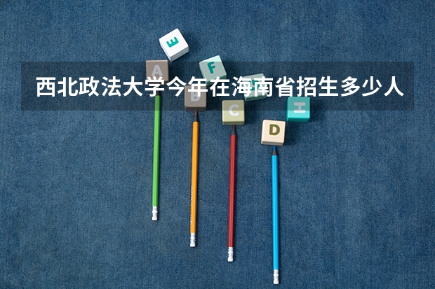 西北政法大学今年在海南省招生多少人。