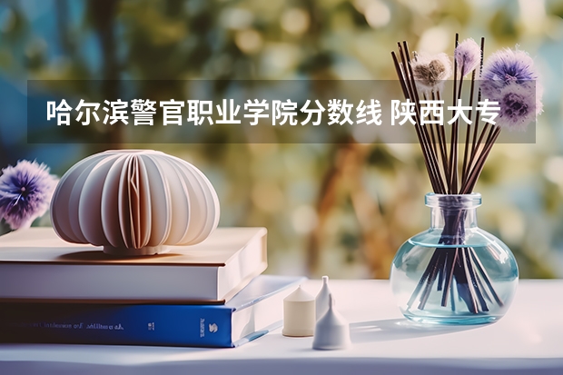 哈尔滨警官职业学院分数线 陕西大专院校排名以及录取分数