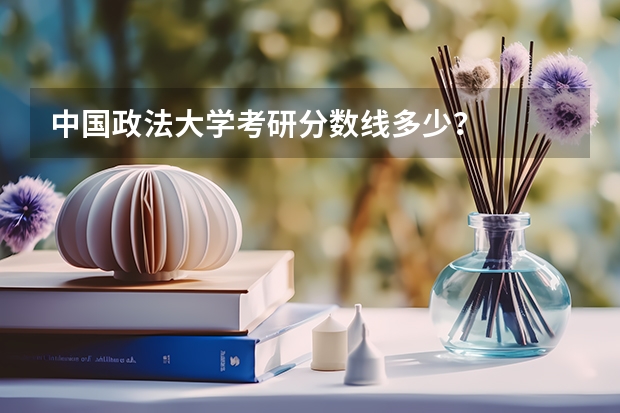 中国政法大学考研分数线多少？