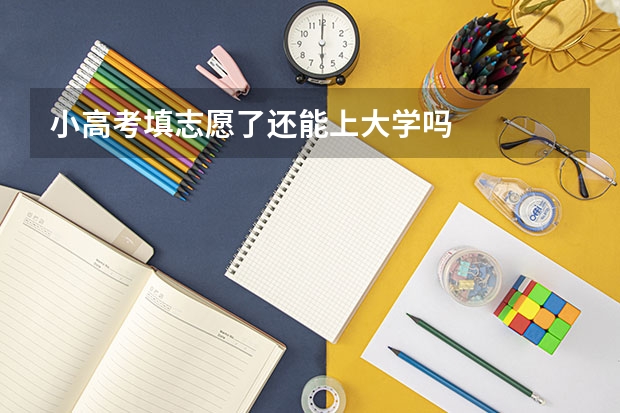 小高考填志愿了还能上大学吗