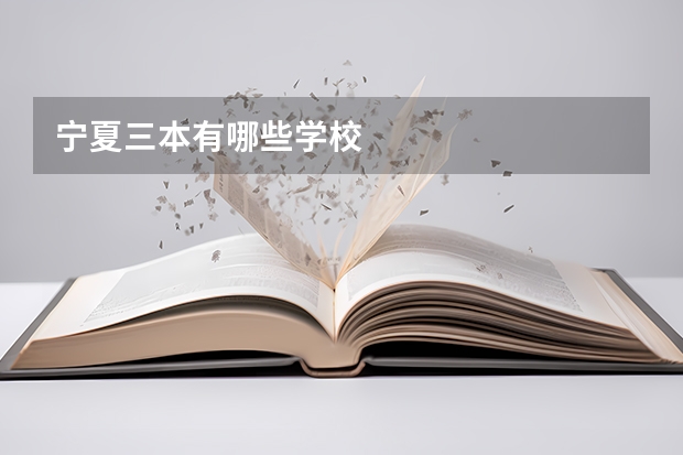 宁夏三本有哪些学校