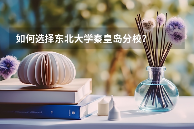 如何选择东北大学秦皇岛分校？