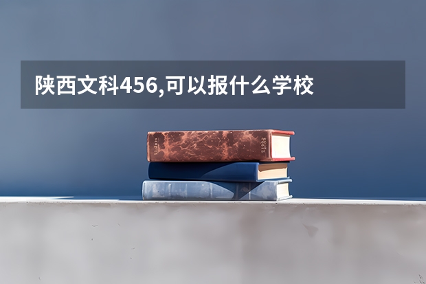 陕西文科456,可以报什么学校