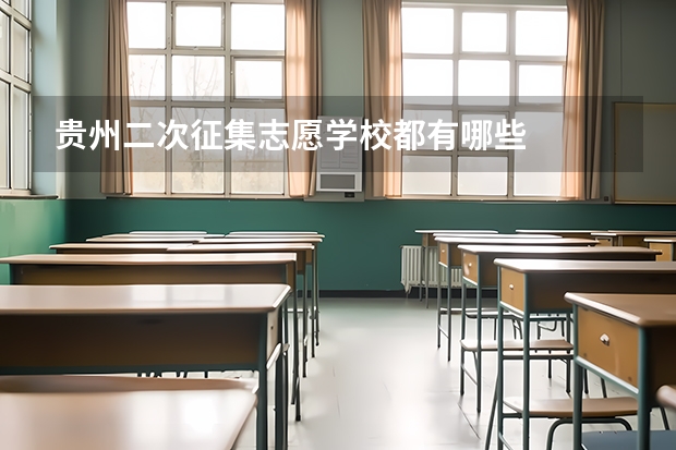 贵州二次征集志愿学校都有哪些