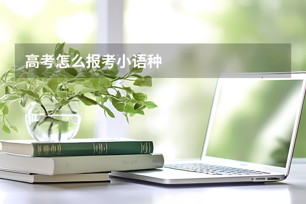 高考怎么报考小语种