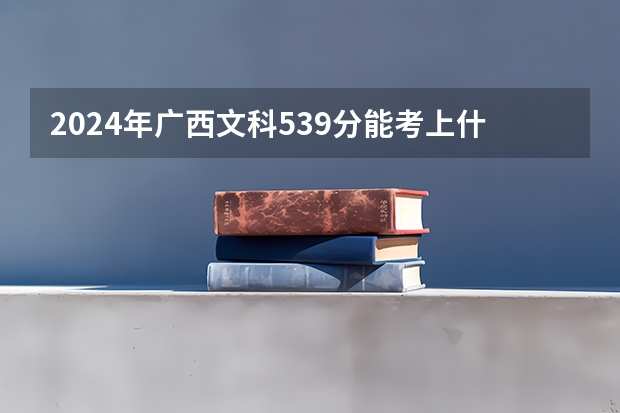 2024年广西文科539分能考上什么大学？