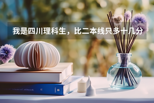 我是四川理科生,比二本线只多十几分,想在川内读一个很一般的二本大学,有好一点的推荐吗