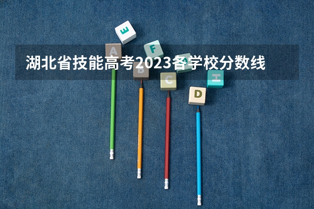 湖北省技能高考2023各学校分数线（黄冈师范学院分数线）
