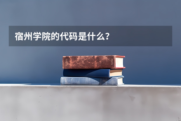宿州学院的代码是什么?
