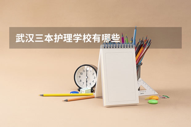 武汉三本护理学校有哪些
