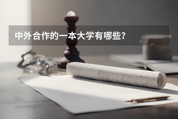 中外合作的一本大学有哪些?