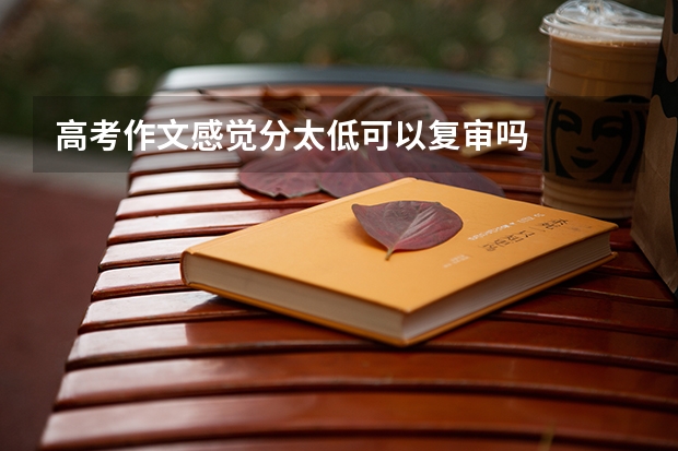 高考作文感觉分太低可以复审吗