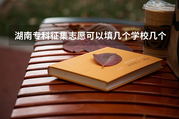 湖南专科征集志愿可以填几个学校几个专业 湖南填征集志愿可以填几个？
