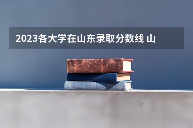 2023各大学在山东录取分数线 山东财经大学分数线