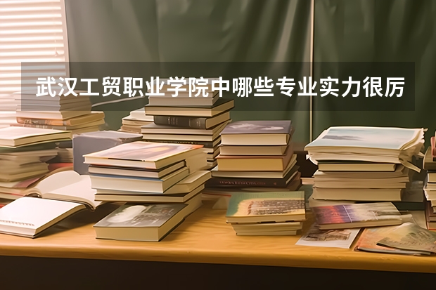武汉工贸职业学院中哪些专业实力很厉害？