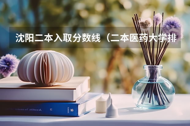 沈阳二本入取分数线（二本医药大学排名及分数线）