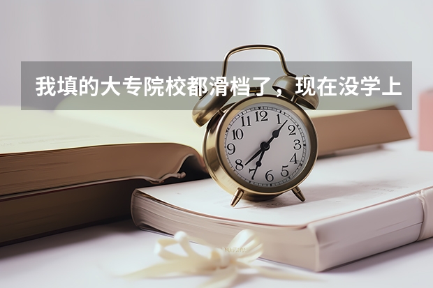 我填的大专院校都滑档了，现在没学上，该怎么办