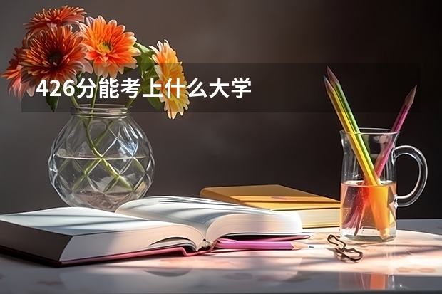 426分能考上什么大学