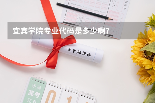 宜宾学院专业代码是多少啊？