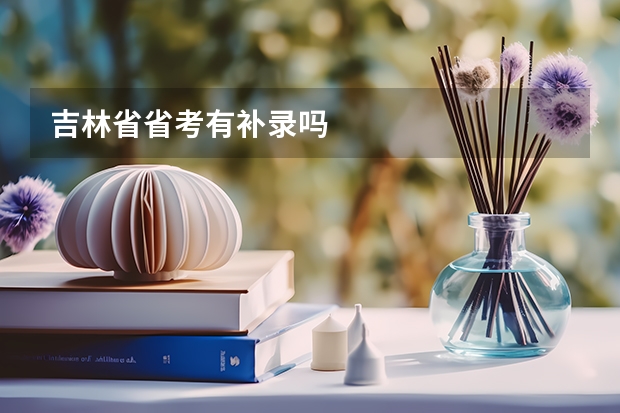 吉林省省考有补录吗