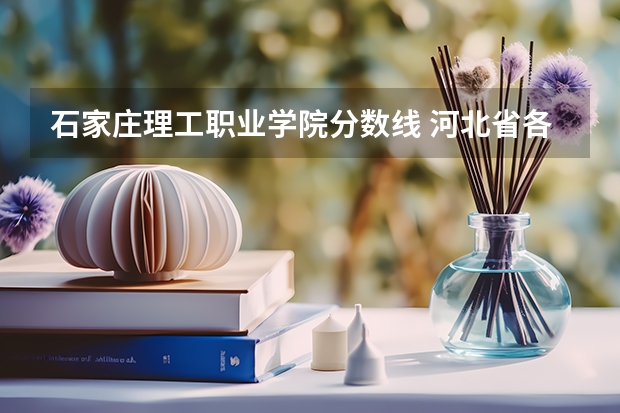 石家庄理工职业学院分数线 河北省各高校录取分数线