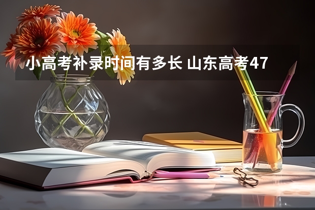 小高考补录时间有多长 山东高考477补录可以上那些公办学校，补录被录取的机会是不是很小啊