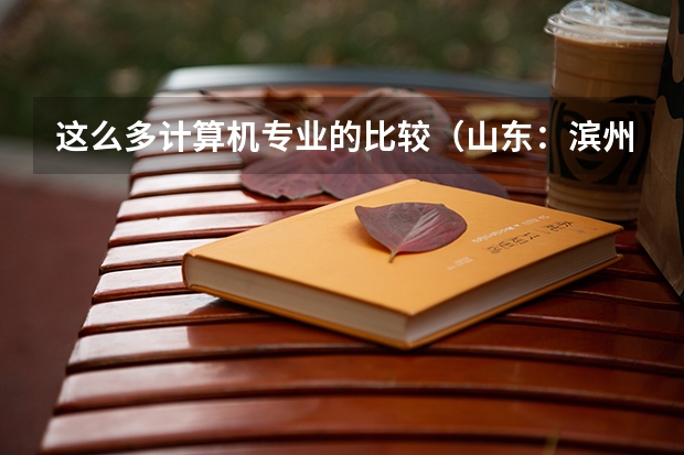 这么多计算机专业的比较(山东:滨州学院普通高等教育招生章程)