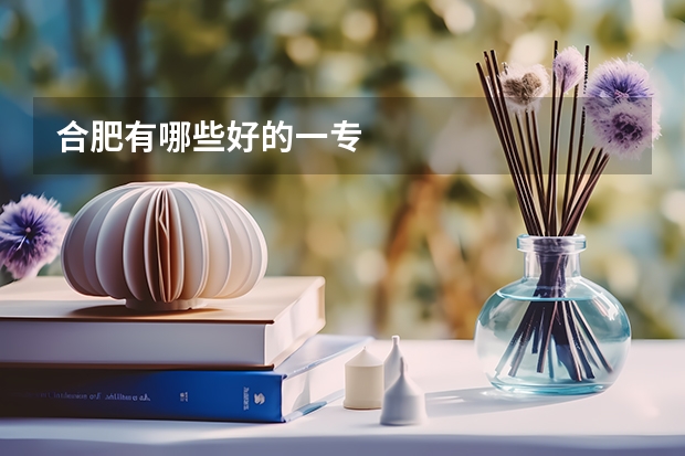 合肥有哪些好的一专