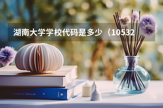 湖南大学学校代码是多少（10532）