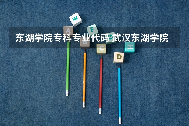 东湖学院专科专业代码 武汉东湖学院是民办还是公办的学校？