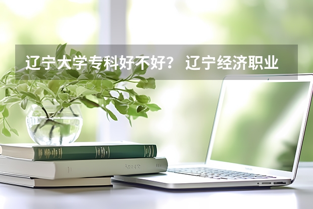 辽宁大学专科好不好? 辽宁经济职业技术学院录取分数线