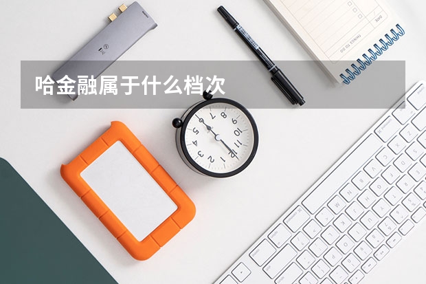 哈金融属于什么档次