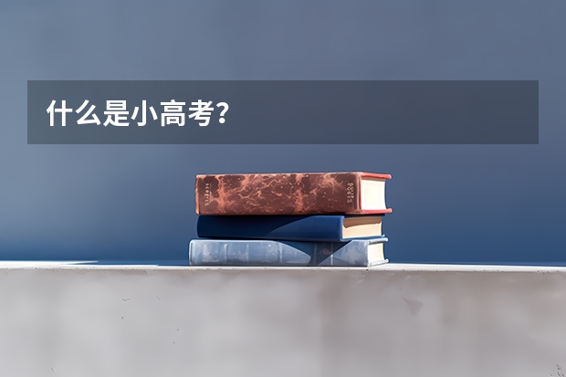 什么是小高考？