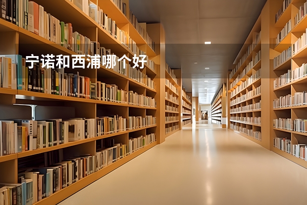 宁诺和西浦哪个好