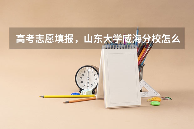 高考志愿填报，山东大学威海分校怎么样？