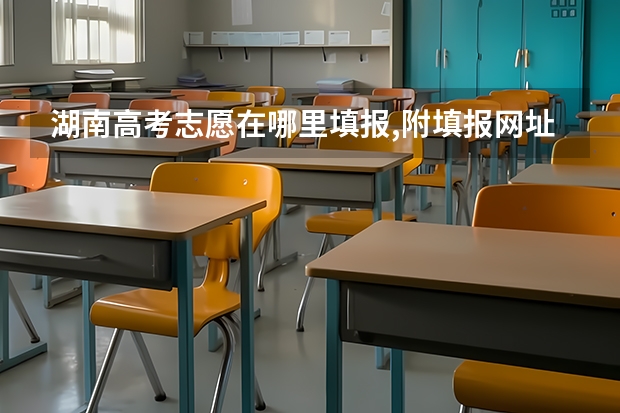 湖南高考志愿在哪里填报,附填报网址入口和指南