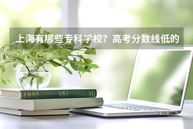 上海有哪些专科学校？高考分数线低的。