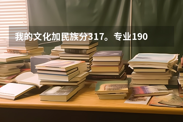 我的文化加民族分317。专业190.。各位大哥大姐 帮我看看能上湖南哪个好点的专科。。谢谢了 。。很急。
