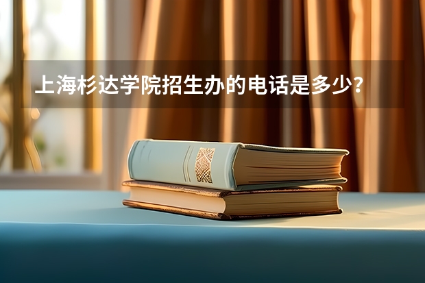 上海杉达学院招生办的电话是多少？
