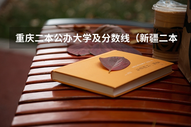 重庆二本公办大学及分数线（新疆二本大学录取分数线）