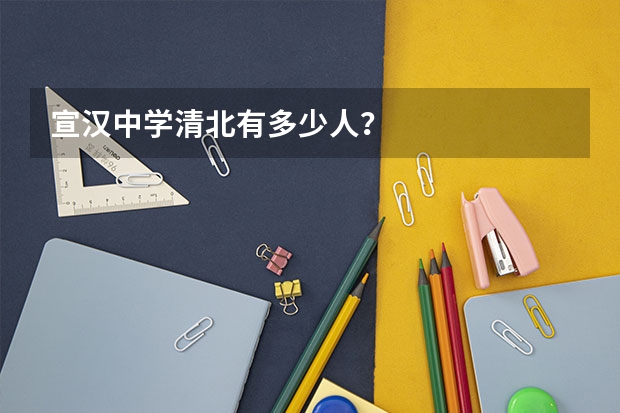 宣汉中学清北有多少人？