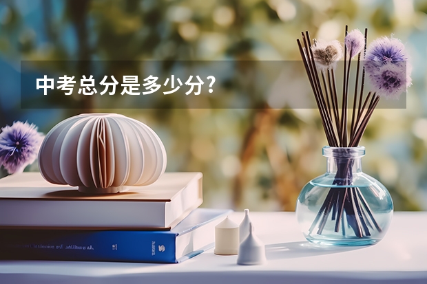中考总分是多少分?