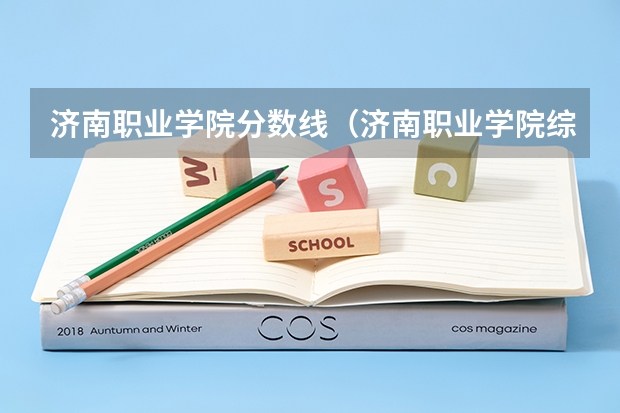 济南职业学院分数线（济南职业学院综评分数线）