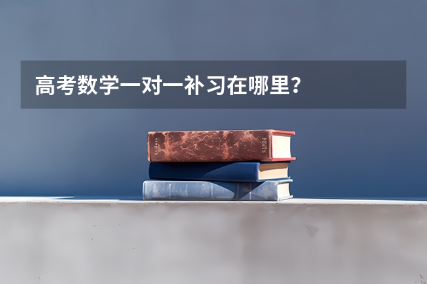 高考数学一对一补习在哪里？