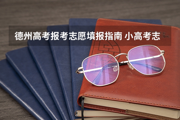 德州高考报考志愿填报指南 小高考志愿怎么填报