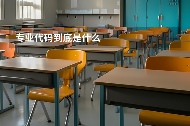 专业代码到底是什么