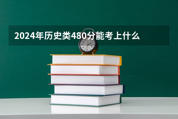 2024年历史类480分能考上什么大学?